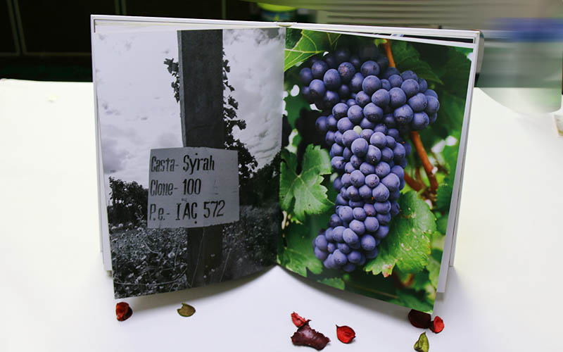 精裝書印刷,高檔精裝書印刷,國外旅遊精裝書印刷