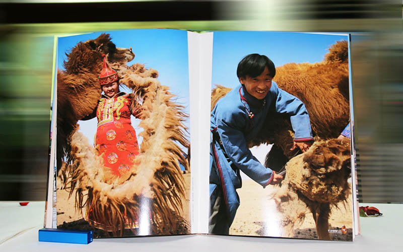 畫冊印刷 畫冊印刷