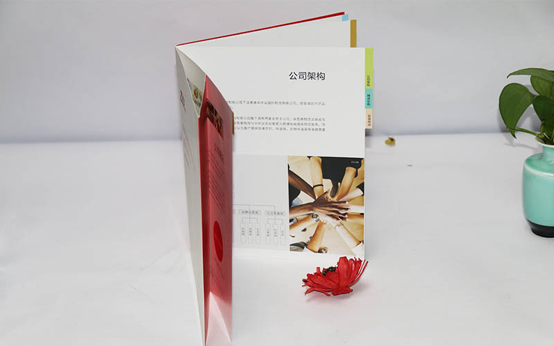 宣傳畫冊印刷廠家,畫冊印刷,企業畫冊印刷廠家 宣傳畫冊印刷廠家,畫冊印刷,企業畫冊印刷廠家